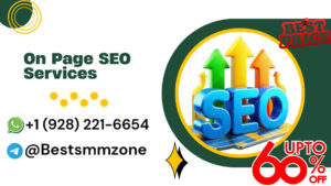 On Page SEO Services